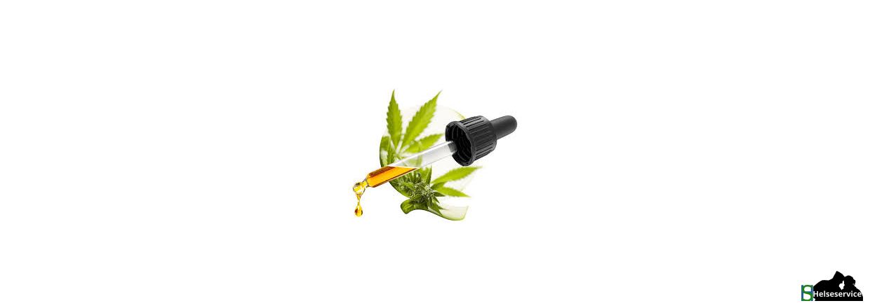 CBD Information