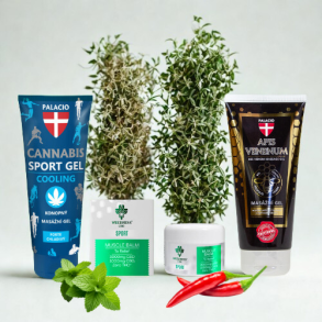 Palacio Cannabis Sport Gel Cooling, Weedness CBD Sport Muscle Balm og Palacio Apis Veninum Massage Gel med bigift, opstillet sammen med friske mynteblade og chili.