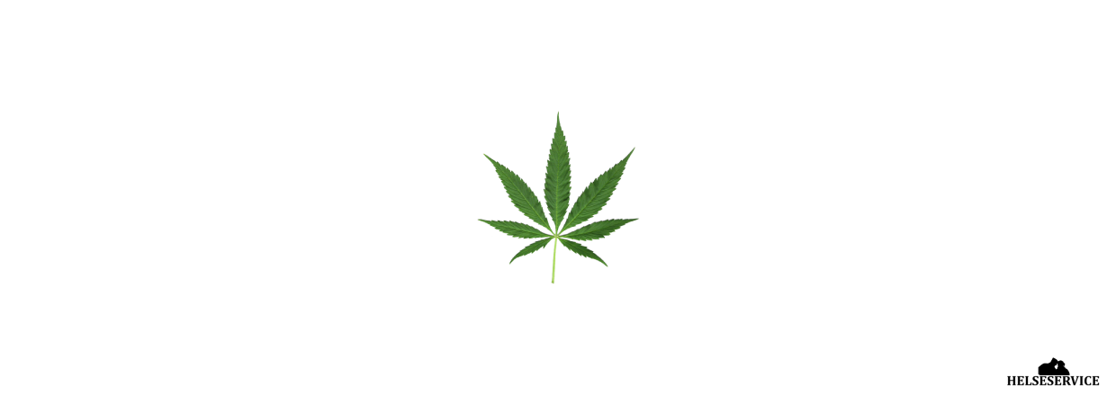 Alt du skal vide om CBD