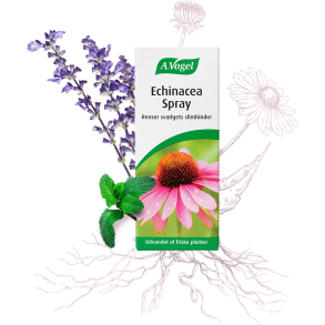 A.Vogel Echinacea Spray 30ml