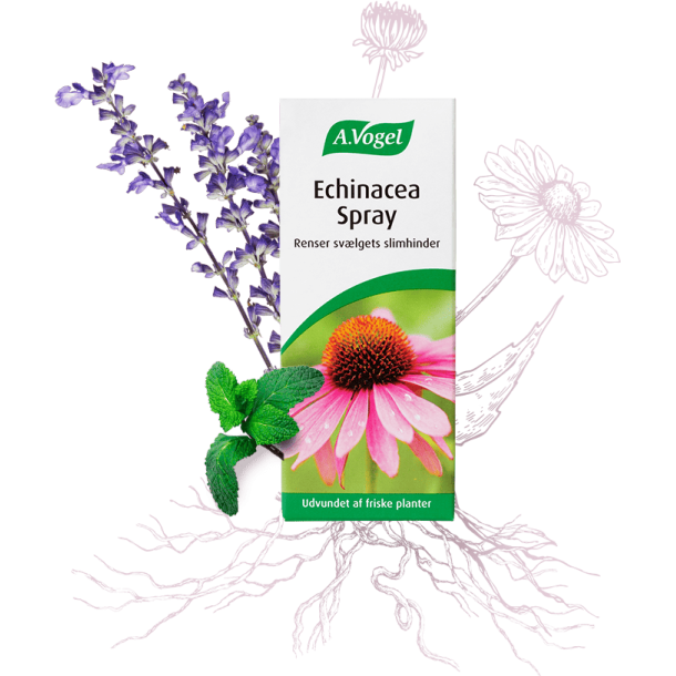 A.Vogel Echinacea Spray 30ml