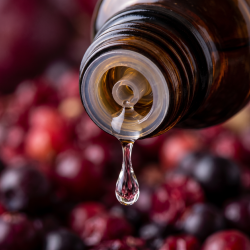 Et krystalklart makrobillede af en enkelt vanddr�be, der falder direkte fra en indbygget dr�bet�ller p� en m�rk ravfarvet glasflaske. Den sl�rede baggrund best�r af dybe, rige bordeaux og m�rkelilla nuancer, der mimer farven p� vilde galneb�r. Lyset er varmt og krystallisk.