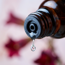Et krystalklart makrobillede af en vanddr�be, der falder fra den indbyggede dr�bet�ller p� en 1:1 realistisk m�rk ravfarvet glasflaske. Den bl�dt sl�rede baggrund kombinerer svalende, lette rosatoner med intense, dybe bordeaux glimt (Belladonna/Galneb�r). Lyset er ekstremt klart, afk�lende, og udstr�ler absolut forl�sning af bankende varme, ro og hom�opatisk pr�cision.