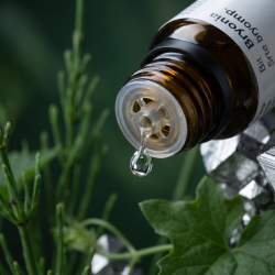 Et krystalklart makrobillede af en vanddr�be, der falder fra den indbyggede dr�bet�ller p� en m�rk ravfarvet glasflaske. Den bl�dt sl�rede baggrund kombinerer dybe, sunde skovgr�nne nuancer (Bryonia og Equisetum) med skarpe, formende og krystallinske s�lvgr� glimt (Stannum). Lyset er ekstremt klart, sm�rende, og udstr�ler absolut indre flow, fri bev�gelighed og hom�opatisk pr�cision.