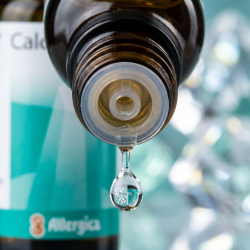 Et krystalklart makrobillede af en vanddr�be, der falder fra den indbyggede dr�bet�ller p� en m�rk ravfarvet glasflaske. Den bl�dt sl�rede baggrund kombinerer skarpe, k�lige turkise og havgr�nne nuancer med brillante, krystallinske lysreflektioner, der leder tankerne hen p� ren Fluorit. Lyset er ekstremt klart, formende og udstr�ler absolut strukturel sp�ndstighed, elasticitet og hom�opatisk pr�cision.