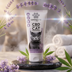 Cannaline luksus katteshampoo st�ende p� m�rk skifersten omgivet af lavendelblomster i et smukt spa-milj� til k�ledyr.
