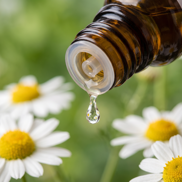 Et krystalklart makrobillede af en vanddr�be, der falder fra den indbyggede dr�bet�ller p� en m�rk ravfarvet glasflaske. I den sl�rede baggrund anes hvide kronblade og det dybe gyldne centrum af en kamilleblomst blandet med friske gr�nne urtetoner. Lyset er svalt, naturligt og beroligende.