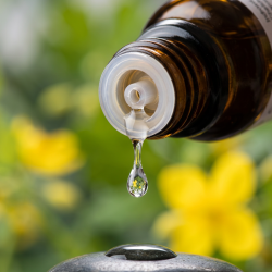 Et krystalklart makrobillede af en ren, vital vanddr�be, der falder fra den indbyggede dr�bet�ller p� en 1:1 realistisk m�rk ravfarvet glasflaske. Den bl�dt sl�rede baggrund kombinerer milde, botaniske gr�nne nuancer med lysende, gyldengule glimt, der symboliserer svaleurten (Chelidonium majus). Lyset er ekstremt klart, opkvikkende, og udstr�ler absolut forl�sning af indre stagnation og hom�opatisk pr�cision.