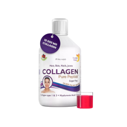 Bovine Collagen