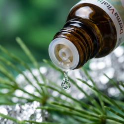 Et krystalklart makrobillede af en vanddr�be, der falder fra den indbyggede dr�bet�ller p� en 1:1 realistisk m�rk ravfarvet glasflaske. Den bl�dt sl�rede baggrund kombinerer rene, formende smaragdgr�nne og botaniske nuancer (Equisetum) med lyse, k�lende og krystallinske s�lvglimt (Argentum). Lyset er ekstremt klart, beroligende, og udstr�ler absolut strukturel formkraft, k�lende ro og hom�opatisk pr�cision.
