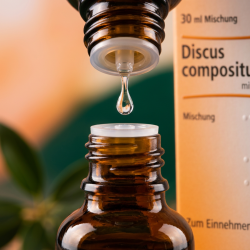Et krystalklart makrobillede af en vanddr�be, der falder fra den indbyggede dr�bet�ller p� en 1:1 realistisk m�rk ravfarvet glasflaske. Den bl�dt sl�rede baggrund kombinerer varme, strukturerende orange og fersken-toner med dybe, stedsegr�nne glimt (Kalmia/Bjerglaurb�r). Lyset er ekstremt klart, formgivende og udstr�ler absolut forl�sning af fysiske blokeringer, bindev�vets elasticitet og tysk hom�opatisk pr�cision.