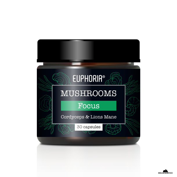 Euphoria Mushrooms Focus Blend Cordyceps &amp; Lions Mane 30 kap