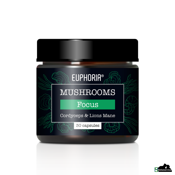 Euphoria Mushrooms Focus Blend Cordyceps &amp; Lions Mane 30 kap