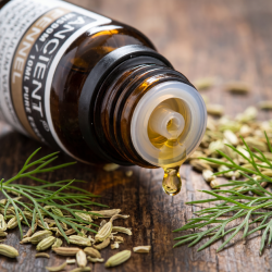Ancient Fennikel �terisk Olie (10 ml) | 100% Ren Aromaterapi