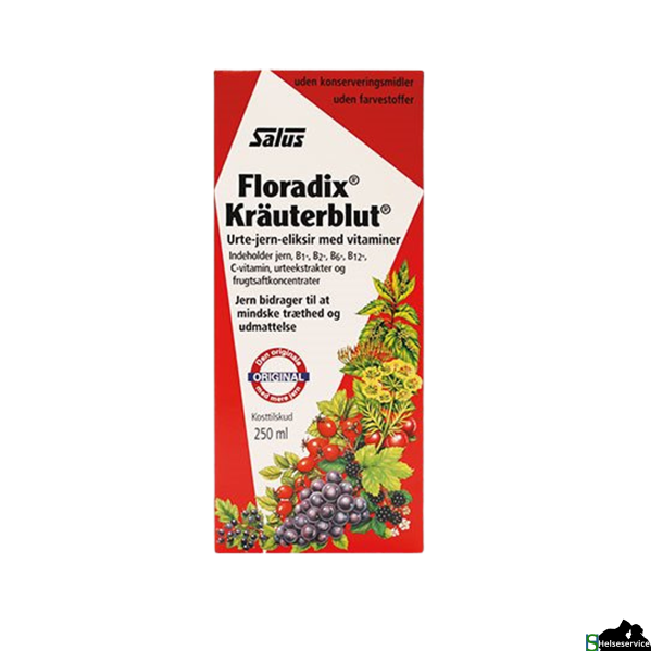 Floradix Kruterblut 250 ml