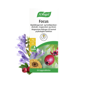 Mental Funktion & Fokus