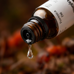 Et krystalklart makrobillede af en vanddr�be, der falder fra den indbyggede dr�bet�ller p� en 1:1 realistisk m�rk ravfarvet glasflaske. Den bl�dt sl�rede baggrund kombinerer dybe, varme skovbunde-toner med intense, rustr�de og jordbrune glimt (Formica rufa/Skovmyre). Lyset er ekstremt klart, varmende, og udstr�ler absolut forl�sning af stivhed, indre flow og hom�opatisk pr�cision.