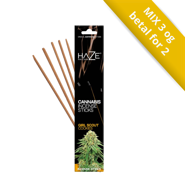 Sort �ske med HAZE Cannabis Incense Sticks i duftvarianten Girl Scout Cookies med gyldne detaljer.