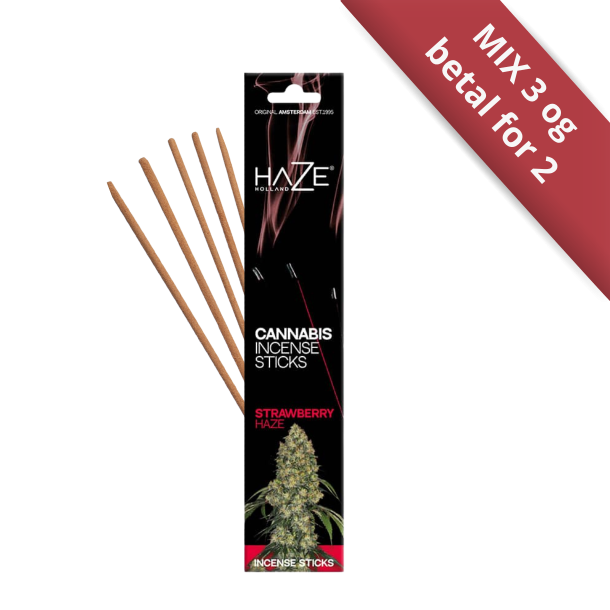 Sort �ske med HAZE Cannabis Incense Sticks i den frugtige duftvariant Strawberry Haze med r�de detaljer.