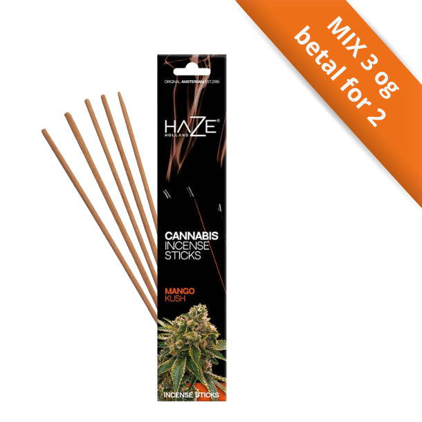 Sort �ske med HAZE Cannabis Incense Sticks i duftvarianten Mango Kush med orange detaljer.