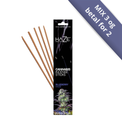 Sort �ske med HAZE Cannabis Incense Sticks i den frugtige duftvariant Blueberry Haze med lilla detaljer.