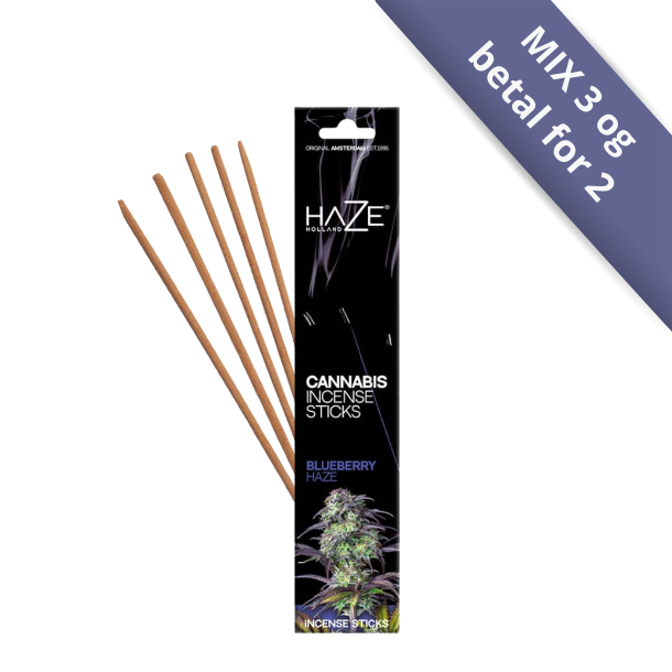 Sort �ske med HAZE Cannabis Incense Sticks i den frugtige duftvariant Blueberry Haze med lilla detaljer.