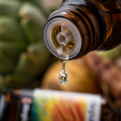 Et krystalklart makrobillede af en vanddr�be, der falder fra den indbyggede dr�bet�ller p� en m�rk ravfarvet glasflaske. Den bl�dt sl�rede baggrund kombinerer dybe, botaniske artiskok-gr�nne nuancer med blide, jordn�re strejf af okker og varm peberrod. Lyset er svalt, rent, og udstr�ler absolut indre flow, udrensning og botanisk kraft.