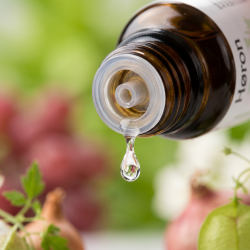 Et krystalklart makrobillede af en vanddr�be, der falder fra den indbyggede dr�bet�ller p� en m�rk ravfarvet glasflaske. Den bl�dt sl�rede baggrund kombinerer friske, lysegr�nne for�rstoner med strejf af st�vet hindb�rr�d og hvid, der symboliserer Kepal�g (Allium cepa) og Ballonvin. Lyset er klart og opkvikkende.
