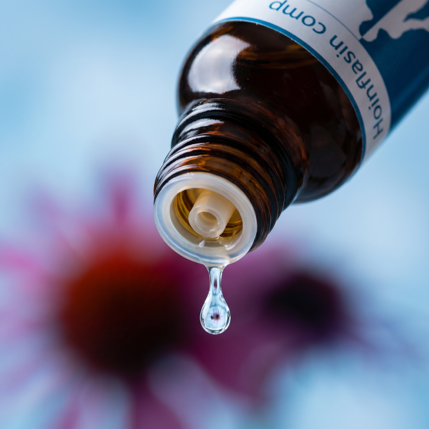 Et krystalklart makrobillede af en ren, k�lende vanddr�be, der falder fra den indbyggede dr�bet�ller p� en 1:1 realistisk m�rk ravfarvet glasflaske. Den bl�dt sl�rede baggrund demonstrerer en smuk overgang; de varme, pulserende m�rker�de og lilla nuancer (symboliserer Belladonna og Echinacea) bliver mildt d�mpet og omsluttet af k�lige, lindrende is-bl� toner. Lyset er klart, svalende, og udstr�ler absolut d�mpning af indre overophedning, rolig forl�sning og holistisk pr�cision.