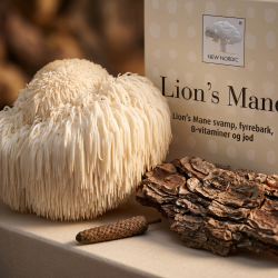 Et sanseligt og fascinerende makrobillede af den smukke, hvide Lion's Mane svamp, der ligner bl�de istapper. Ved siden af ligger et stykke r� maritim fyrrebark og en enkelt lang peber. Lyset er bl�dt og jordn�rt, hvilket fremh�ver de utrolige naturlige teksturer.