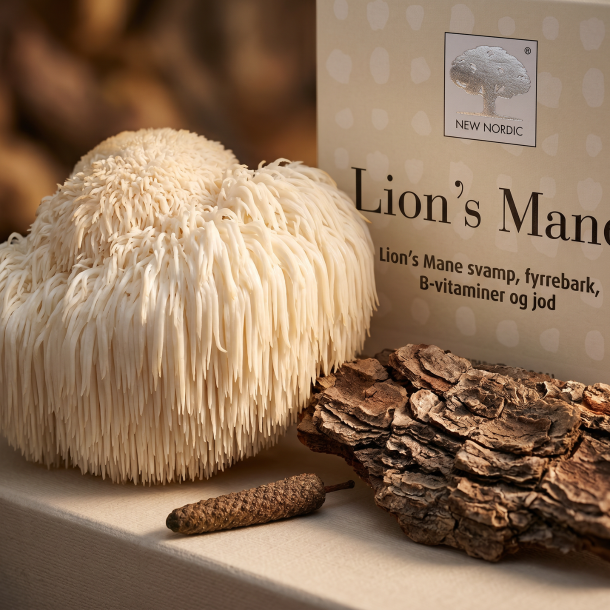 Et sanseligt og fascinerende makrobillede af den smukke, hvide Lion's Mane svamp, der ligner bl�de istapper. Ved siden af ligger et stykke r� maritim fyrrebark og en enkelt lang peber. Lyset er bl�dt og jordn�rt, hvilket fremh�ver de utrolige naturlige teksturer.