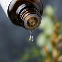 Et krystalklart makrobillede af en vanddr�be, der falder fra den indbyggede dr�bet�ller p� en 1:1 realistisk m�rk ravfarvet glasflaske. Den bl�dt sl�rede baggrund kombinerer strukturelle, dybe skifergr� nuancer (Mesenchym/Tin) med friske, botaniske strejf af kiselgr�n og gyldenbrun (Equisetum/Cikorie). Lyset er ekstremt klart, rensende, og udstr�ler absolut indre flow, bindev�vets elasticitet og hom�opatisk pr�cision.