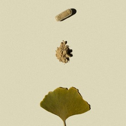 Mezina Tempel plus 120 kap.