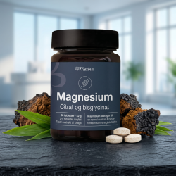 Mezina magnesiumd�se pr�senteret p� m�rk skifer sammen med r� Chaga-svamp og gr�nne sukkerr�rsblade.