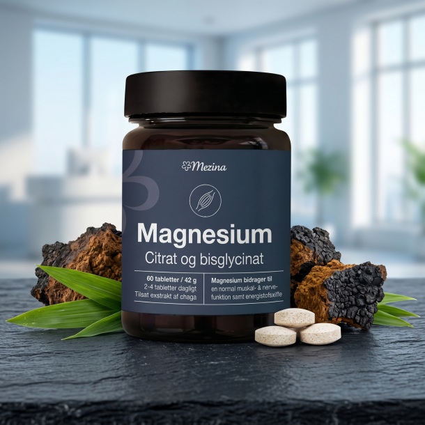 Mezina magnesiumd�se pr�senteret p� m�rk skifer sammen med r� Chaga-svamp og gr�nne sukkerr�rsblade.