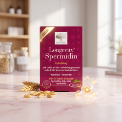 New Nordic Longevity Spermidin �ske pr�senteret p� lyst marmor, ledsaget af gyldne hvedekerner for at illustrere det aktive spermidin-ekstrakt, i et lyst skandinavisk klinisk milj�.
