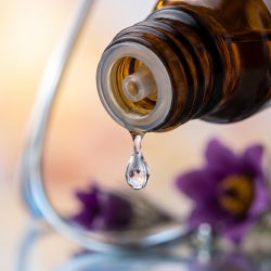 Et krystalklart makrobillede af en vanddr�be, der falder fra den indbyggede dr�bet�ller p� en m�rk ravfarvet glasflaske. Den bl�dt sl�rede baggrund kombinerer varme, gyldne og bl�de ferskenfarvede nuancer med milde, botaniske strejf fra den lilla Opret Kobj�lde (Pulsatilla) og subtile, k�lige glimt af s�lv. Lyset er svalt, feminint, formende og udstr�ler absolut harmoni og indre cyklisk balance.