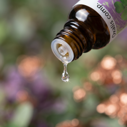 Et krystalklart makrobillede af en enkelt vanddr�be, der falder fra den indbyggede dr�bet�ller p� en m�rk ravfarvet glasflaske. Den bl�dt sl�rede baggrund kombinerer friske, botaniske gr�nne nuancer med d�mpede lilla toner og subtile glimt af varmt, metallisk kobber. Lyset er klart og fokuseret.