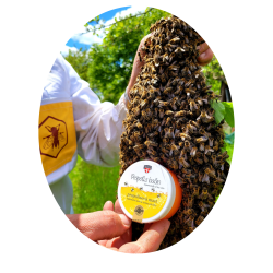 Palacio PROPOLIS Ointment/salve 100 ml