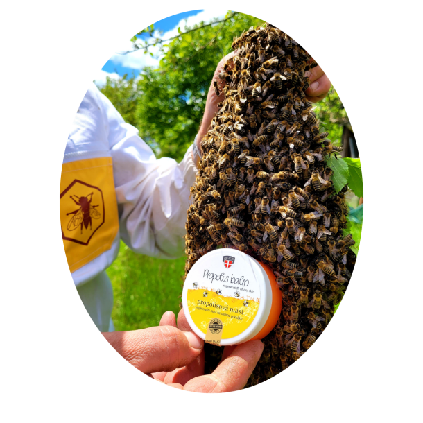 Palacio PROPOLIS Ointment/salve 100 ml