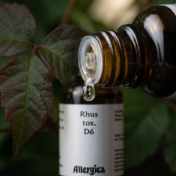 Et utroligt skarpt makrobillede af en krystalklar vanddr�be, der falder direkte fra en indbygget dr�bet�ller p� en m�rkegul rav-flaske. I den bl�dt sl�rede baggrund anes konturerne af m�rkegr�nne blade med et subtilt strejf af r�dligt efter�rsl�v. Lyset er friskt og naturligt.
