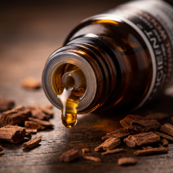 Et n�rbillede af en lille m�rk glasflaske, hvor en ren dr�be �terisk olie lander direkte fra plast-drypt�lleren i flaskens hals. Omgivet af rustikke, m�rke tr�sp�ner af sandeltr�.