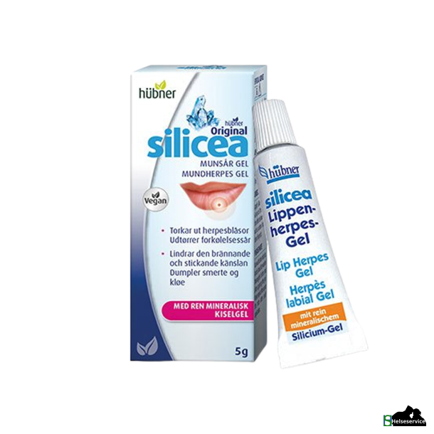 Hbner Silicea Mund Herpes 5g