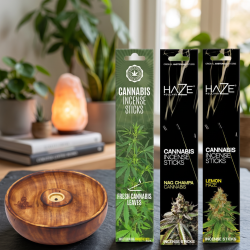 The Green Lounge r�gelsespakke med lukkede �sker af Multitrance Fresh Leaves, HAZE Nag Champa og HAZE Lemon samt en Buddha r�gelseholder.