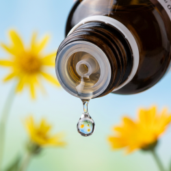 Et krystalklart makrobillede af en rig, fyldig vanddr�be, der falder fra den indbyggede dr�bet�ller p� en stor, 1:1 realistisk m�rk ravfarvet 100ml glasflaske. Den bl�dt sl�rede baggrund kombinerer friske, lysebl� nuancer med blide, botaniske gule glimt (Arnica montana/Morgenfrue). Lyset er ekstremt klart, genopbyggende, og udstr�ler absolut forl�sning af fysisk overbelastning, langvarig restitution og hom�opatisk pr�cision.