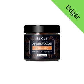 Euphoria Mushrooms Immunity Blend Echinacea & Lions Mane 30 kap.
