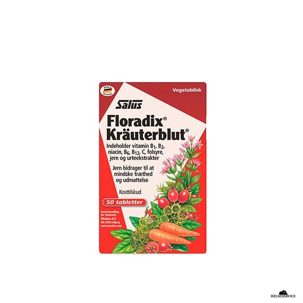 Floradix Kruterblut 50 stk.