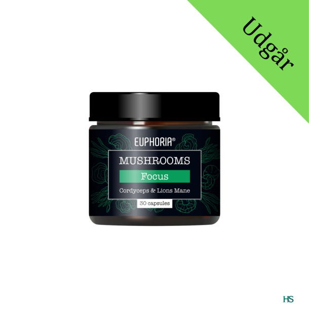 Euphoria Mushrooms Focus Blend Cordyceps &amp; Lions Mane 30 kap